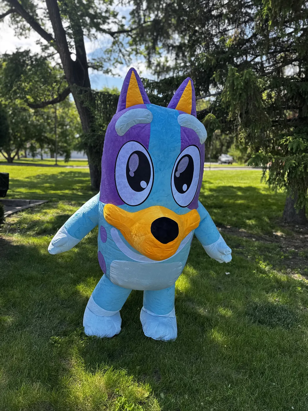 Bluey the blue heeler puppy mascot