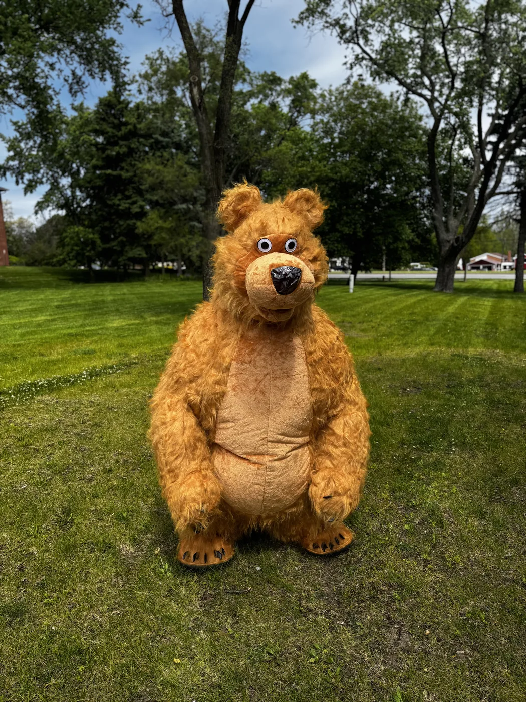 Brown Bear mascot at a kids party