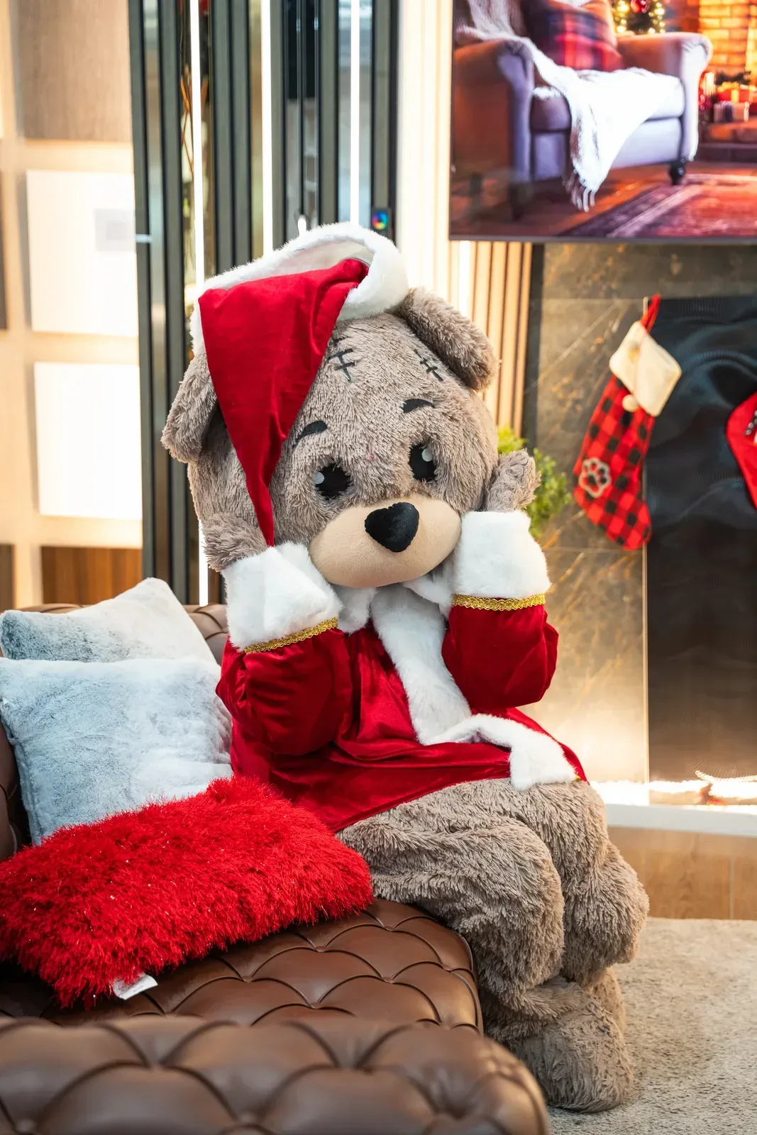 Christmas Bear on a brown leather couch