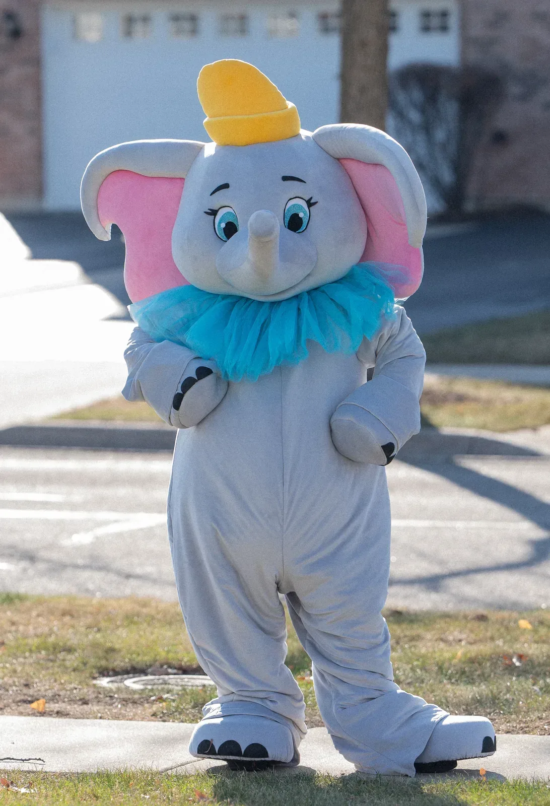 Elephant at a kids party