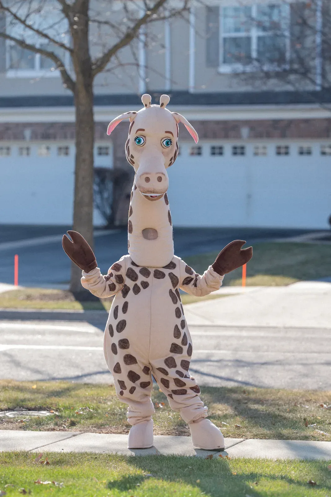 Giraffes at a kids party